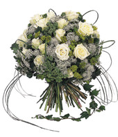 16 White Roses