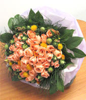 50 Pink Roses