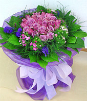 24 Purple Roses