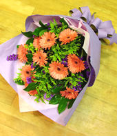 12 Orange Gerbera Daisies