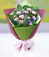 12 Pink Carnations