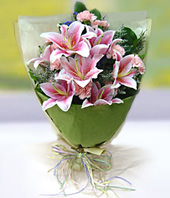 12 Pink Carnations,6 Pink Lilies