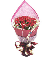 33 Red Roses
