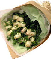12 champagne Roses