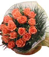 18 peach Roses