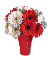 5 Red Gerbera Daisies and 5 White Gerbera Daisies With a Vase