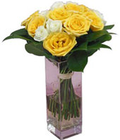 12 Roses With a Vase