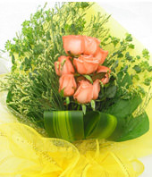 9 Pink roses,Kim leaves at bottom