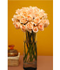 Two Dozen Pink Roses With a Vase