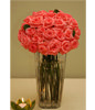 Two Dozen Red Roses With a Vase
