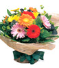 12 Mixed Gerbera, Mini-Gerbera, Salal