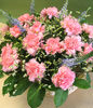 16 Pink Carnations