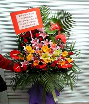 Hongkong Grand Opening Basket HOPENAA0605