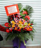 Hongkong Grand Opening Basket HOPENAA0605