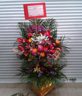 Two-Tier Hongkong Grand Opening Basket