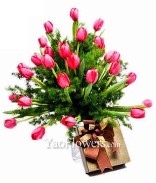 Red Tulips With Chocolate 