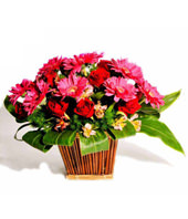 Table Arrangement Of Red Roses & Pink Gerberas 