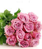 Hand Bouquet of 12 Purple Roses