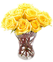 24 Yellow Roses In Vase 