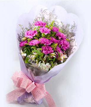 12 purple carnations
