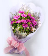 12 purple carnations