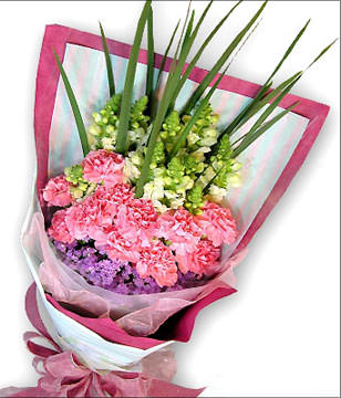 12 pink carnations
