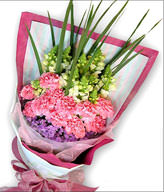 12 pink carnations