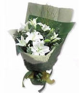 3 white lilies