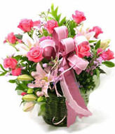 18 pink roses, 2 pink perfume lilies