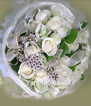 15 White roses