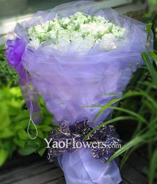 50 White roses with A class