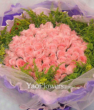 66 Pink roses