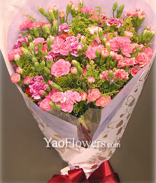 36 Carnations
