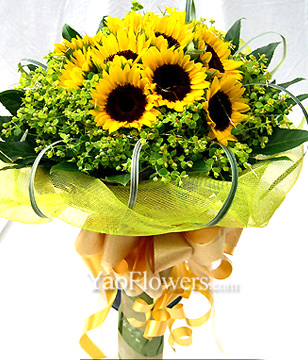 10 Sunflowers