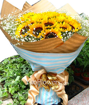 15 Sunflowers