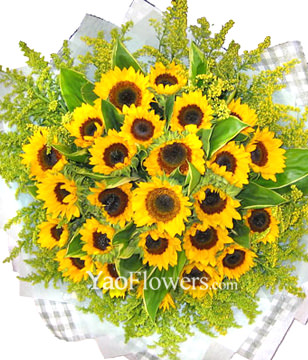 26 Sunflowers