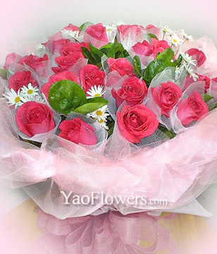 33 the star of East's Peach roses