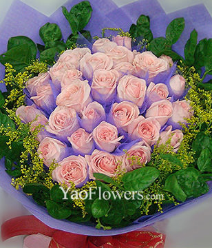 33 Pink roses