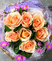 7 Champagne roses
