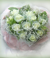12 White roses