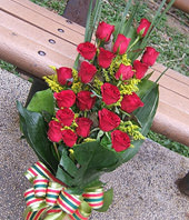 20 Red roses