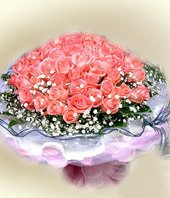 50 Diana roses