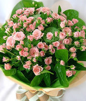 66 Mini pink roses