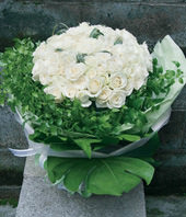 99 White roses