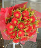 20 Red Gerbera Daisies