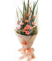 16 Pink Gerbera Daisies