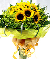 10 Sunflowers