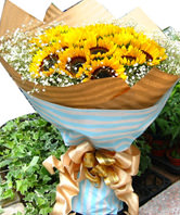 15 Sunflowers