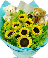 9 Sunflowers,a pair of Teddy bear