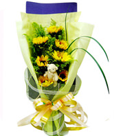 7 Sunflowers,A bear